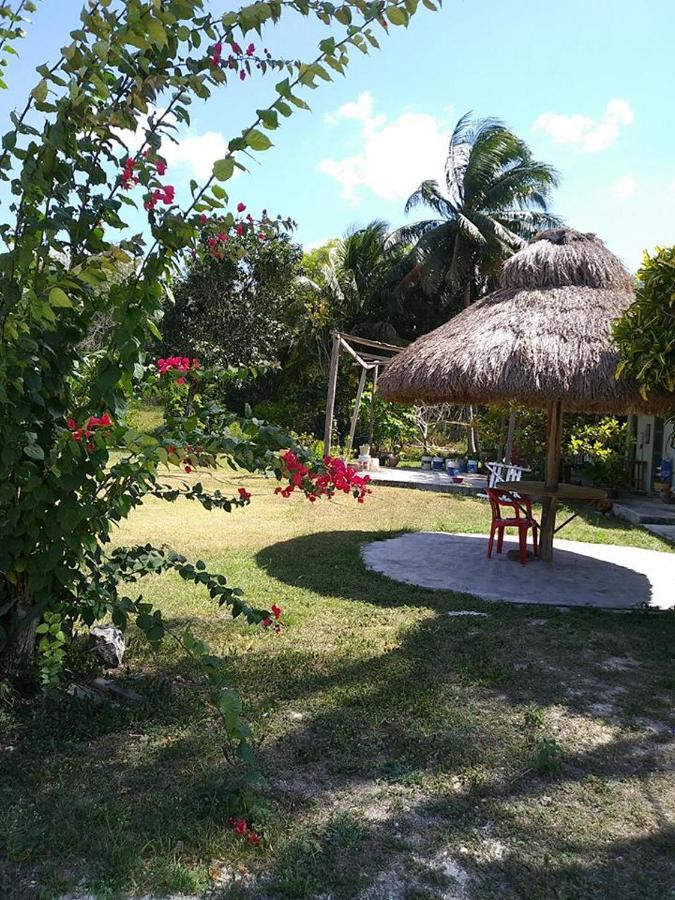 Hotel Templo Maya Xpujil Exteriér fotografie
