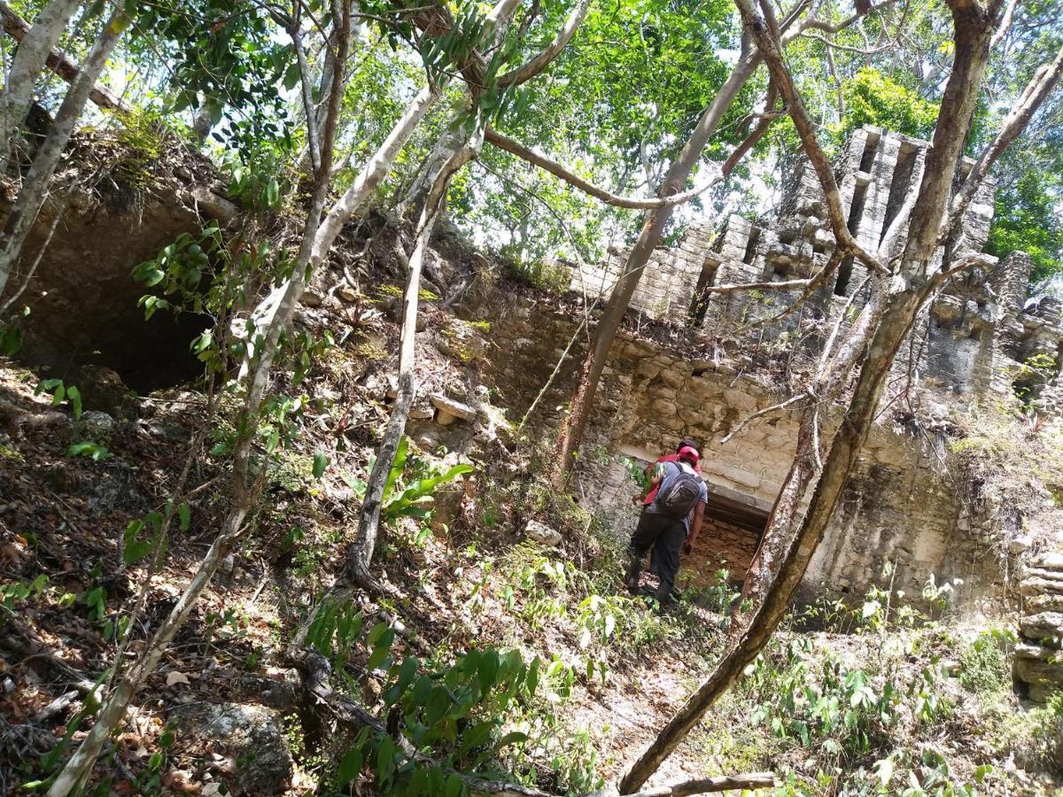 Hotel Templo Maya Xpujil Exteriér fotografie